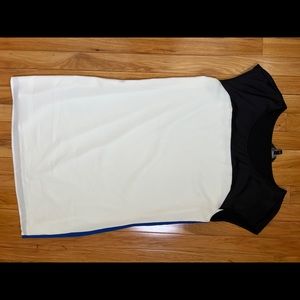 Express Blue and White Dress